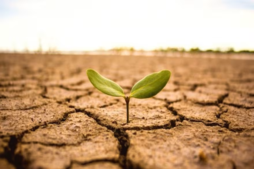 Adaptación al Cambio Climático: Una prioridad basada en la realidad nacional