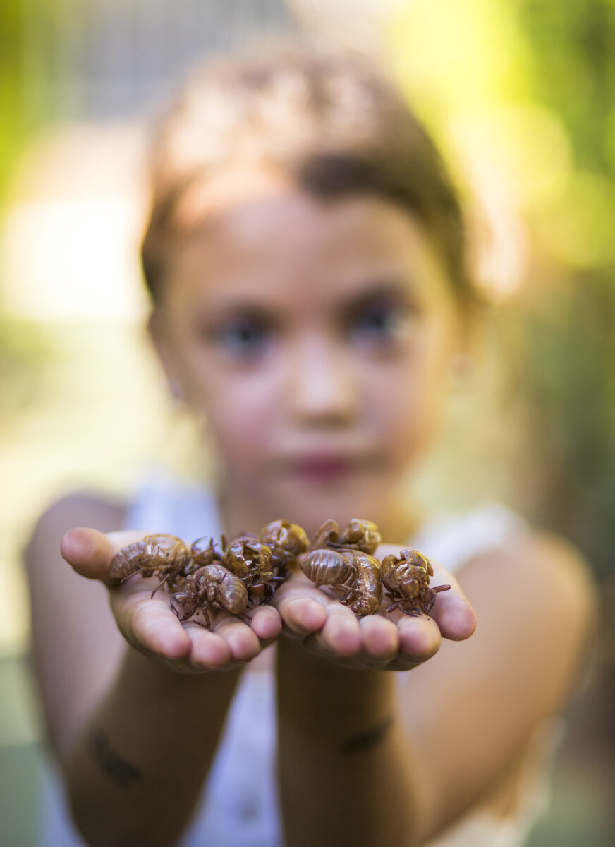 Equidad en la Acción Climática y la Gestion de Riesgos