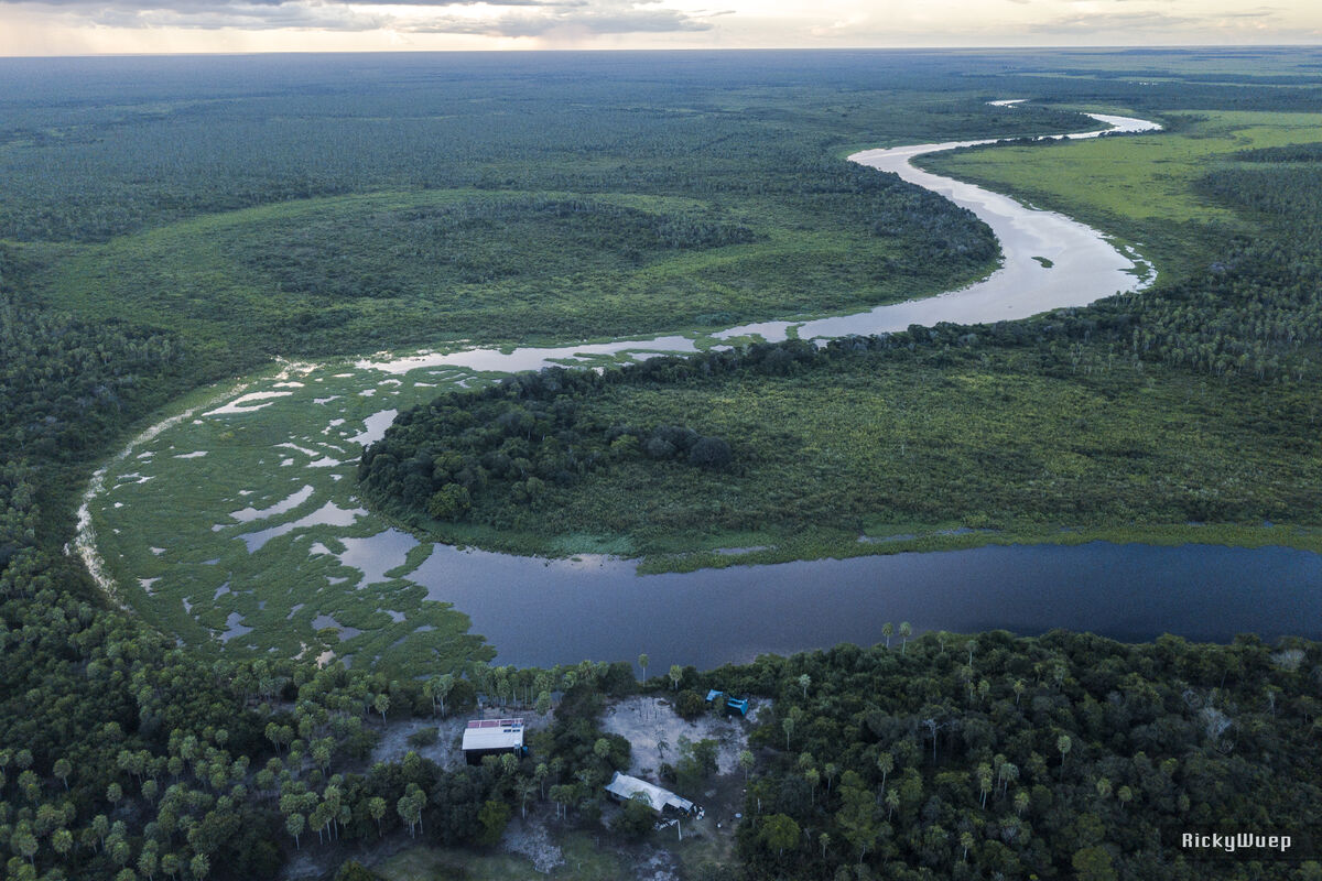 Pagos por Servicios Ambientales: Valorizando Nuestro Patrimonio Naturales