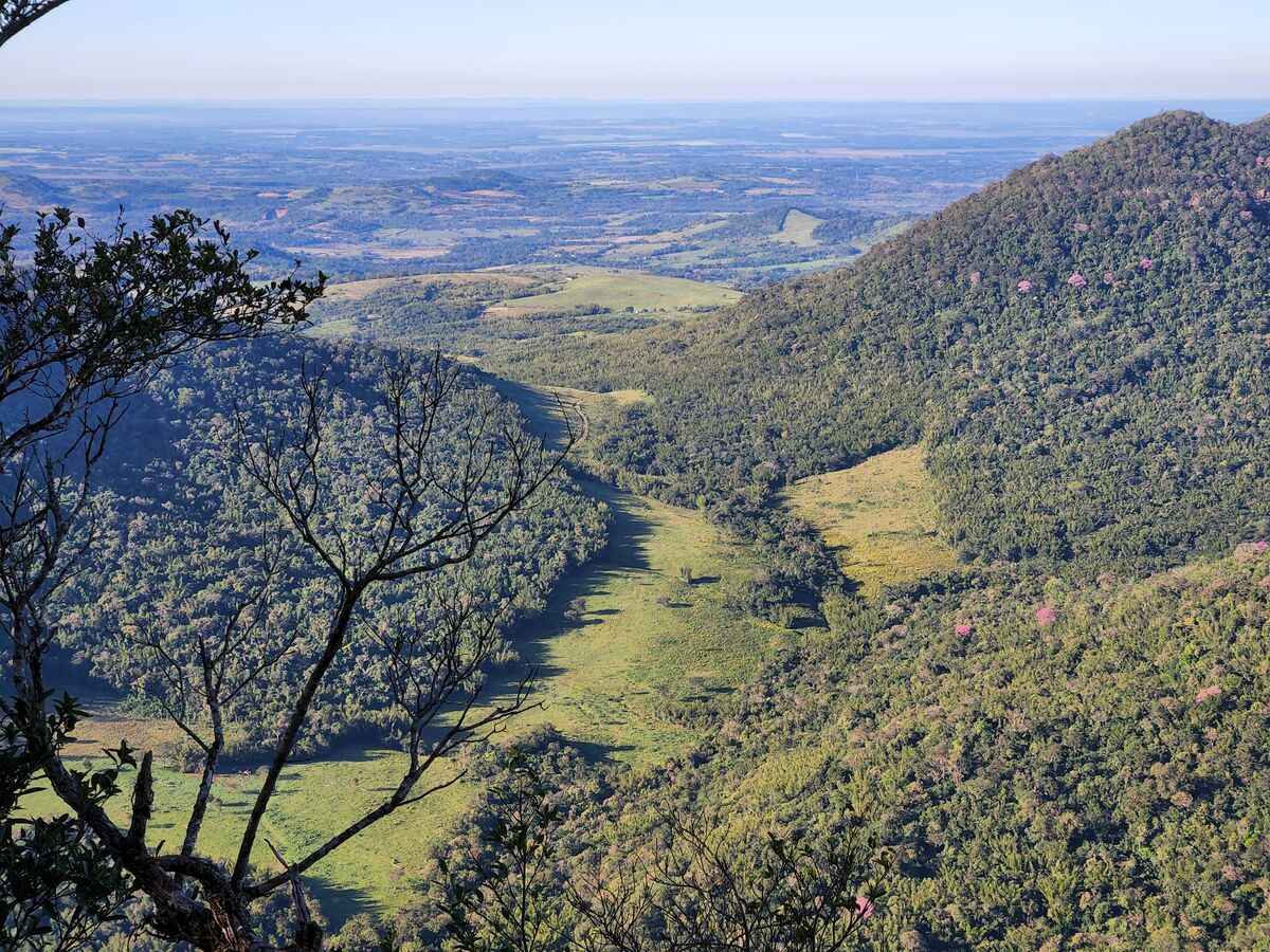 Mercados de Carbono: Hacia un Paraguay + Sostenible
