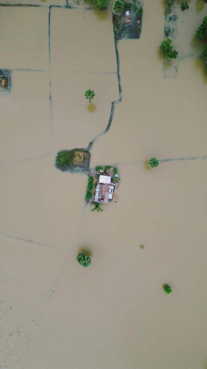 Perdidas y Daños por el Cambio climático: cómo enfrentar los desafíos globales y locales